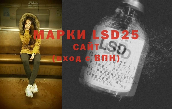 эйфоретик Каменка