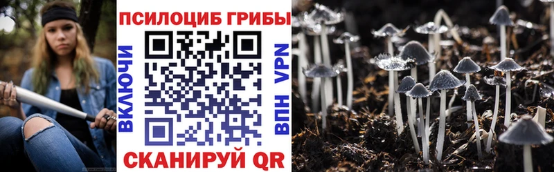 Купить закладки  Вуктыл  Галлюциногенные грибы Psilocybine cubensis 